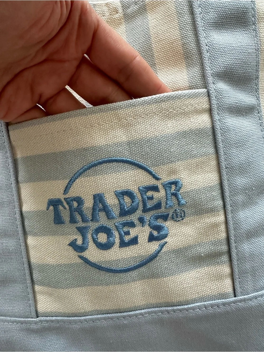 Trader Joe's Blue & Cream Striped Canvas Tote Bag